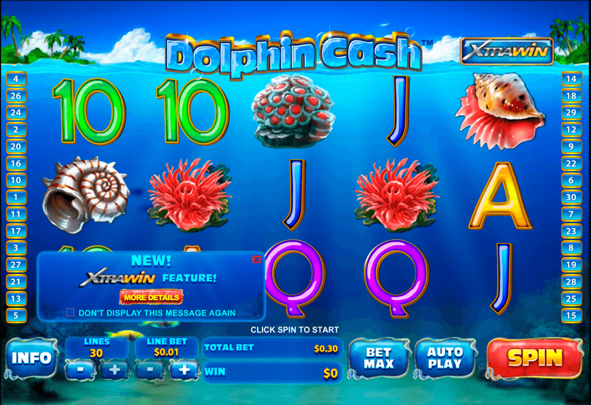 dolphin cash playtech automat online