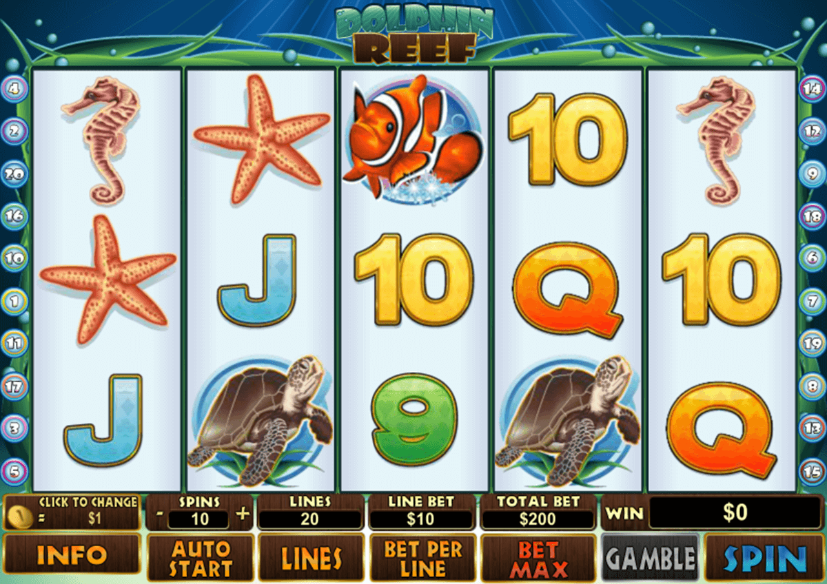 dolphin reef playtech automat online