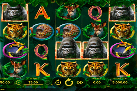 gorilla kingdom netent automat online