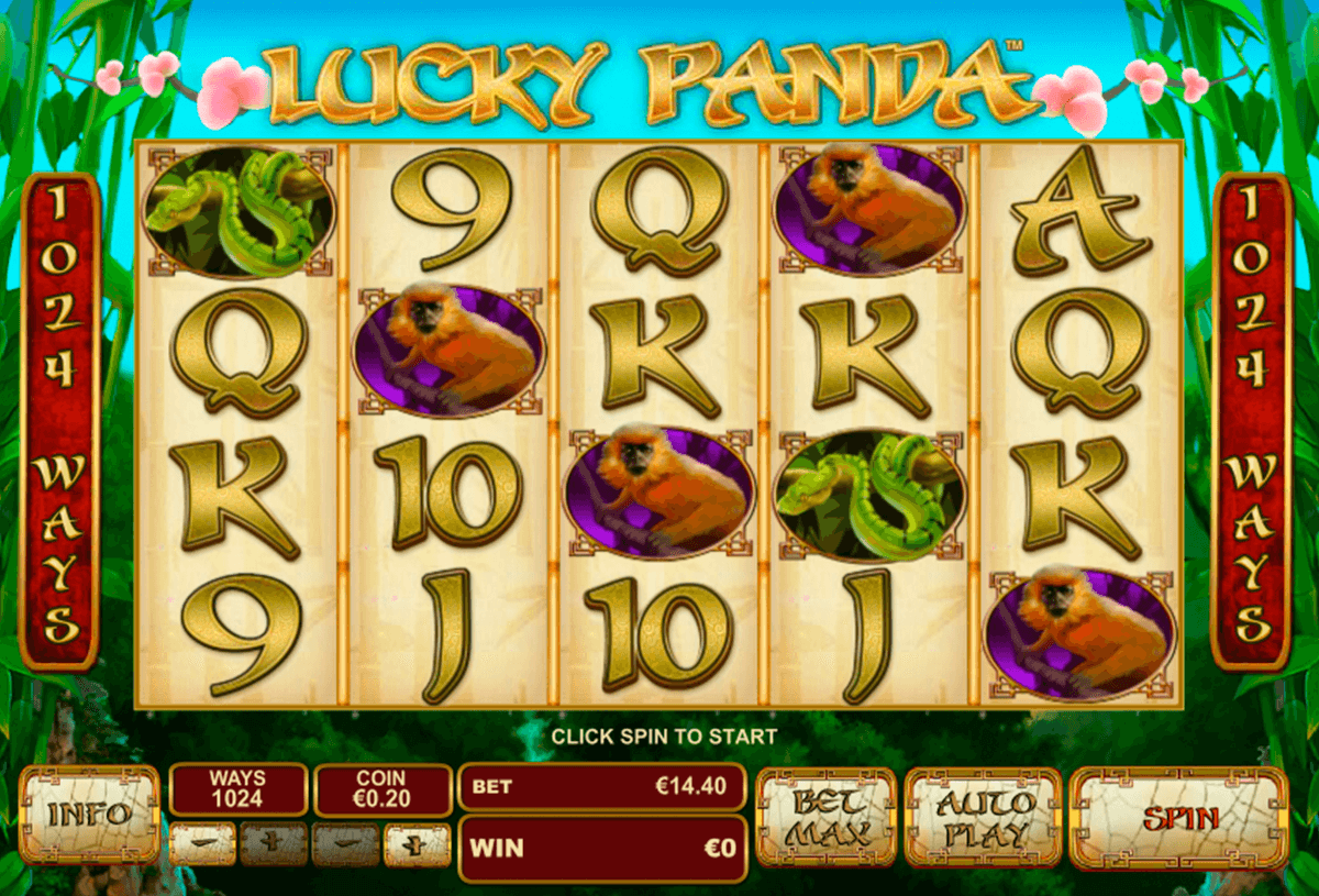 lucky panda playtech automat online